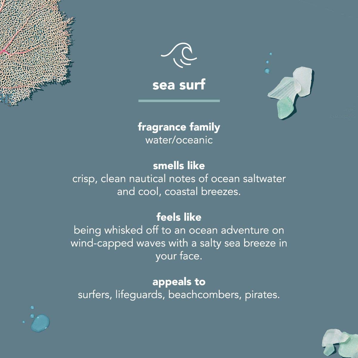 Method Men Beard Oil, Sea + Surf, 1 Ounce, 6 pack