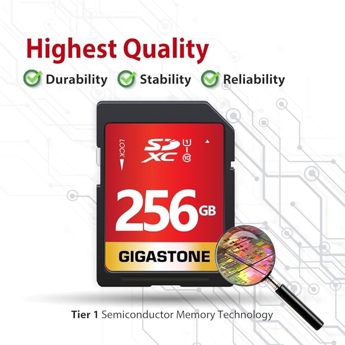 GIGASTONE 256GB SD Card UHS-I U1 Class 10 SDXC Memory Card High Speed Full HD Video Nikon Sony Pentax Kodak Olympus Panasonic Digital Camera, with 1 mini case
