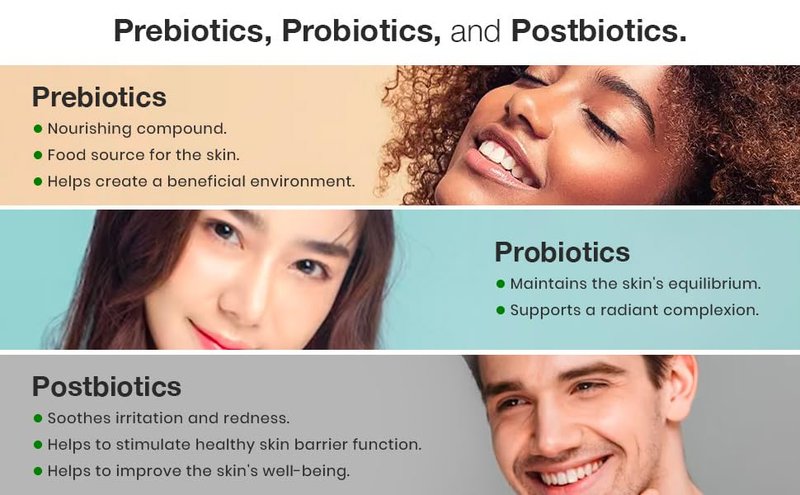Probiotic Skin Care Facial Serum - Collagen & Vitamin E for Firming & Plumping | 2 oz