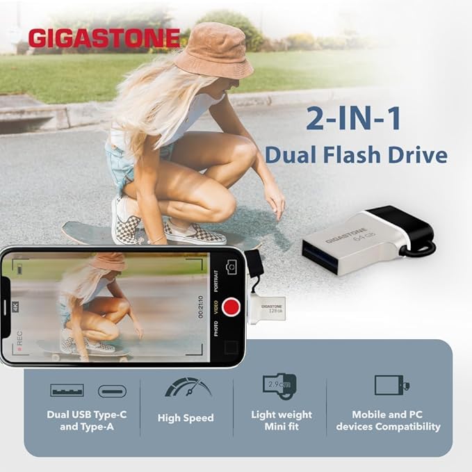 GIGASTONE 256GB Nano Luxus Dual USB Flash Drive, USB-C & USB-A, 100MB/s High-Speed Storage, Metal Design