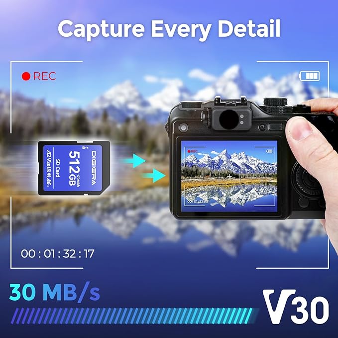 DIGIERA 512GB LS100 SDXC UHS-I Memory Card - up to 170MB/s, C10, U3, V30, 4K UHD, SD Card for Computers, Digital Cameras, Home Theatre Devices, Car Navigation Systems (1 Pack)