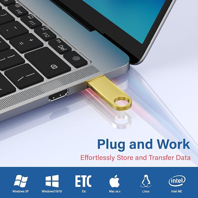5 Pack 1GB USB Flash Drive with Keychains, Wooolken Sleek Metal USB 2.0 Thumb Drives Memory Stick for PC Laptop Computer