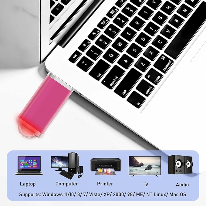 2GB USB Flash Drive 1 Pack Nicepicten Thumb Drives Zip Drive USB 2.0 Jump Flash Drive Memory Stick 2GB with Lanyards (Pink)