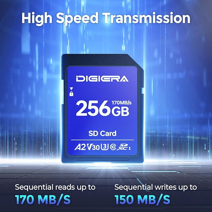 DIGIERA 256GB LS100 SDXC UHS-I Memory Card - up to 170MB/s, C10, U3, V30, 4K UHD, SD Card for Computers, Digital Cameras, Home Theatre Devices, Car Navigation Systems (1 Pack)