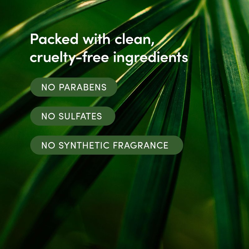 LATHER - Bamboo Lemongrass Hair Wash, 8 fl oz (2-Pack) - Daily Shampoo & Cleanser - Revitalize Hair - Bamboo, Comfrey, Chamomile - Sensitive Skin Safe - Vegan & Cruelty Free - Beauty & Hair Care