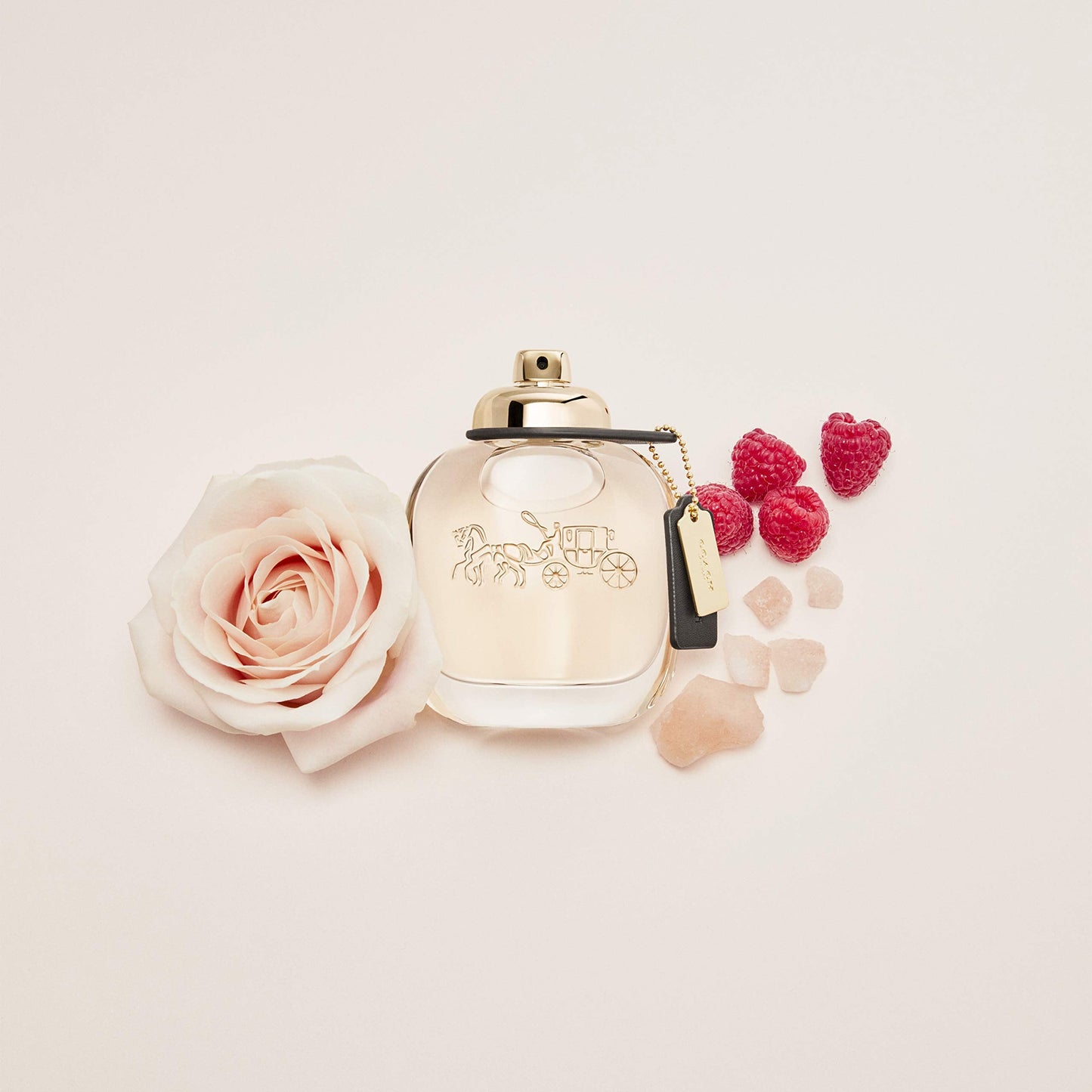 COACH NEW YORK Eau De Parfum Spray FOR WOMEN 1.0 Oz / 30 ml LAUNCHED IN 2016