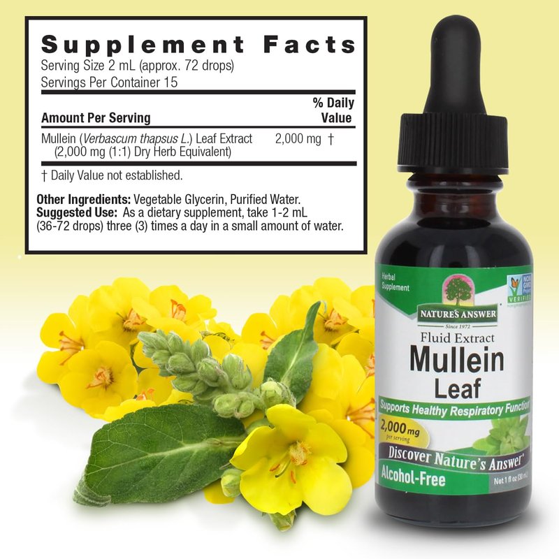 Nature's Answer Mullein Herb - Mullein Leaf Extract for Lungs - Alcohol Free, Non GMO, Made in USA - Supports Respiratory Function & Promotes Healthy Lungs - Mullein Leaf 1 Ounce Extract