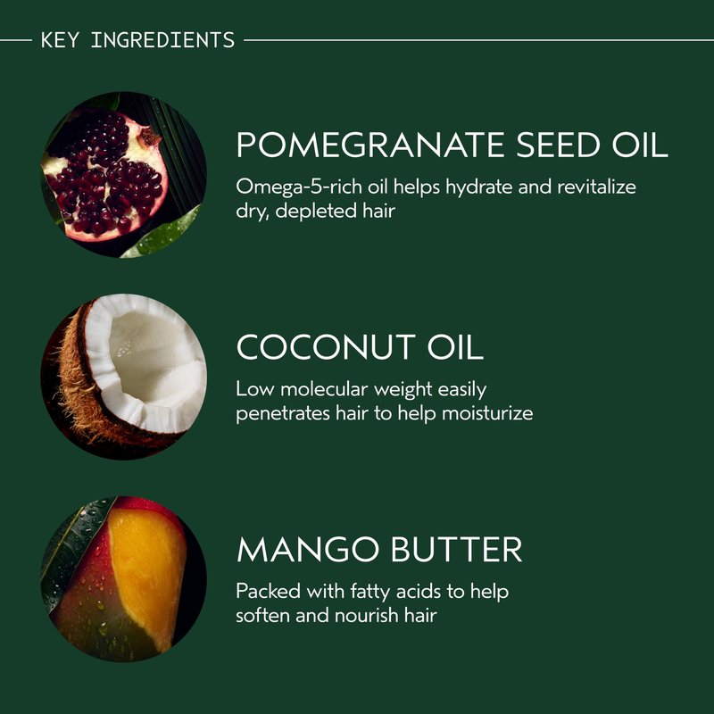 Aveda Nutriplenish Shampoo Deep Moisture | Rich Hydration for Medium to Thick Dry Hair | Organic Pomegranate Oil, Coconut Oil, Mango Butter | 93% Naturally Derived*, 8.5 Fl Oz