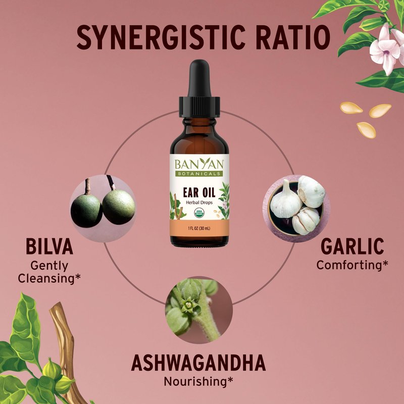Banyan Botanicals Ear Oil – Organic Herbal Oil Ear Drops with Ashwagandha and Garlic – Soothing and Comforting for The Ears – 1 oz – Non GMO Sustainably Sourced Vegan