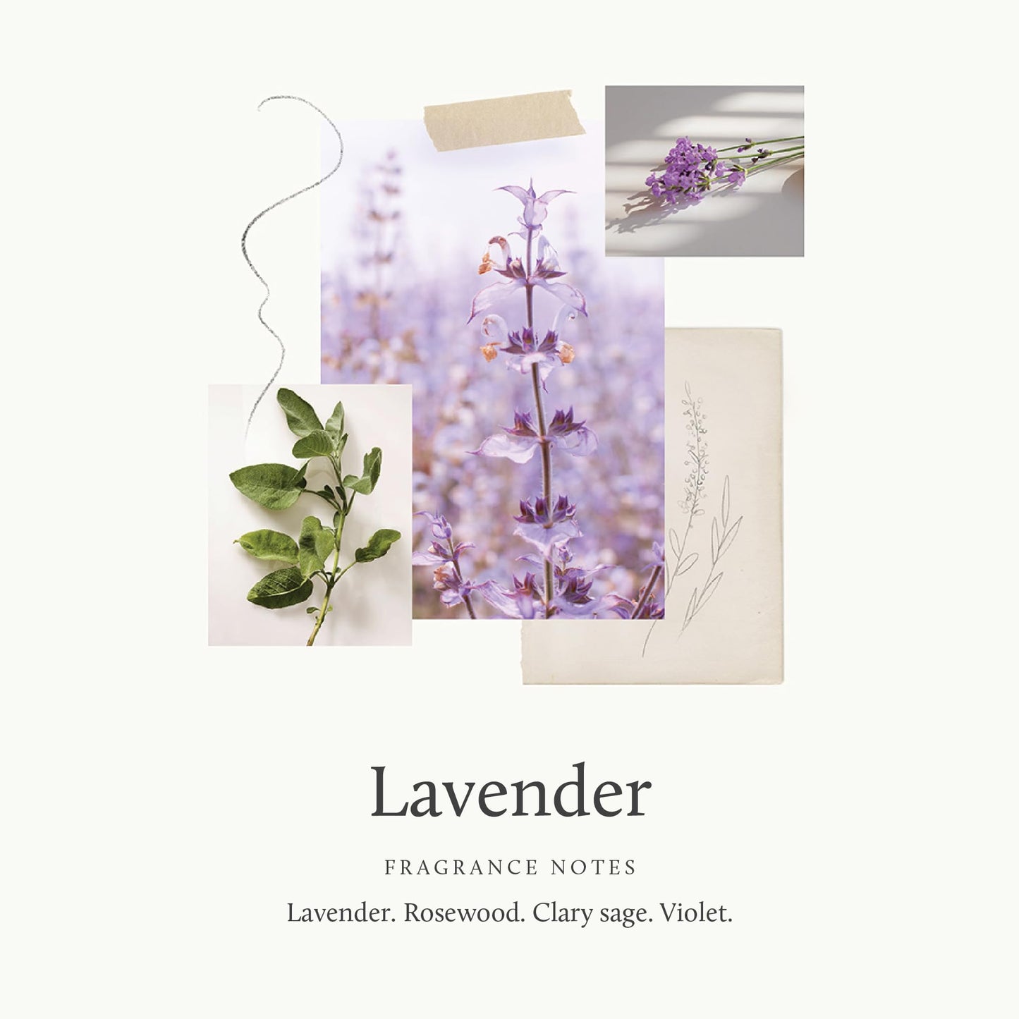 Thymes Lavender Large Hand Wash with Pump - Hydrating Liquid Hand Soap with Calming Lavender Scent (15 fl oz)
