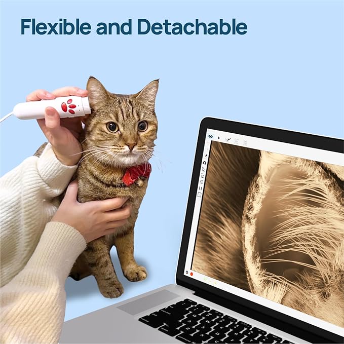 INSWAN INS-3 Detachable Handheld USB Document Camera – Flexible Multi-Angle, Perfect for Hands-on Teaching & 3D Object Demo, Mic, LED, Auto Focus, Compatible with Windows/Mac/iPad/Chromebook, White