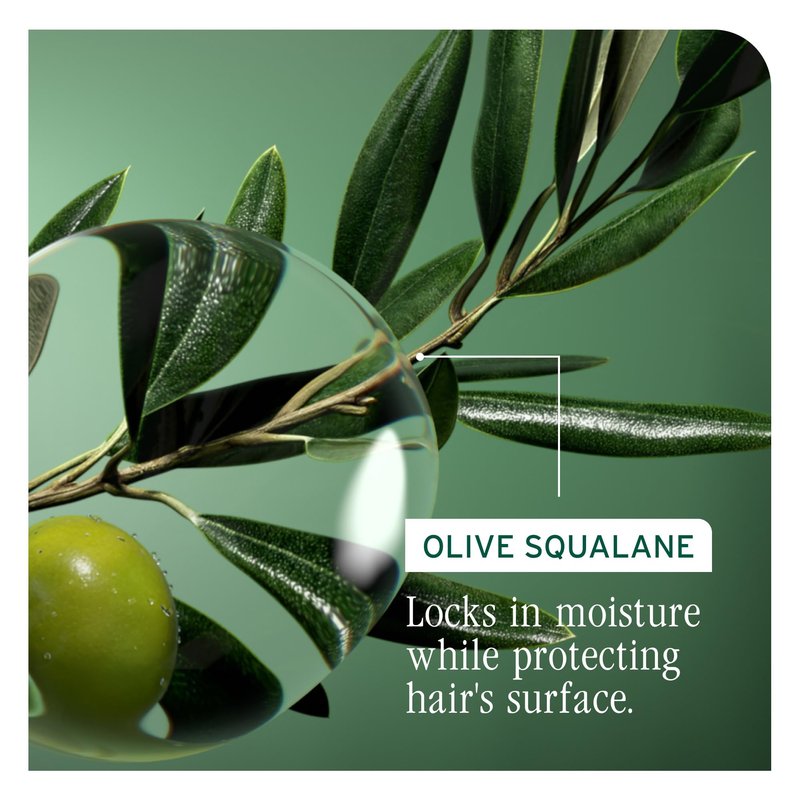 Biolage Strength Recovery Repairing Spray - Leave-In Treatment, Strengthens & Repairs Damaged Hair, Heat Protectant, Detangling Leave-In Treatment, With Olive Squalane & Vegan Proteins, 1 Fl Oz