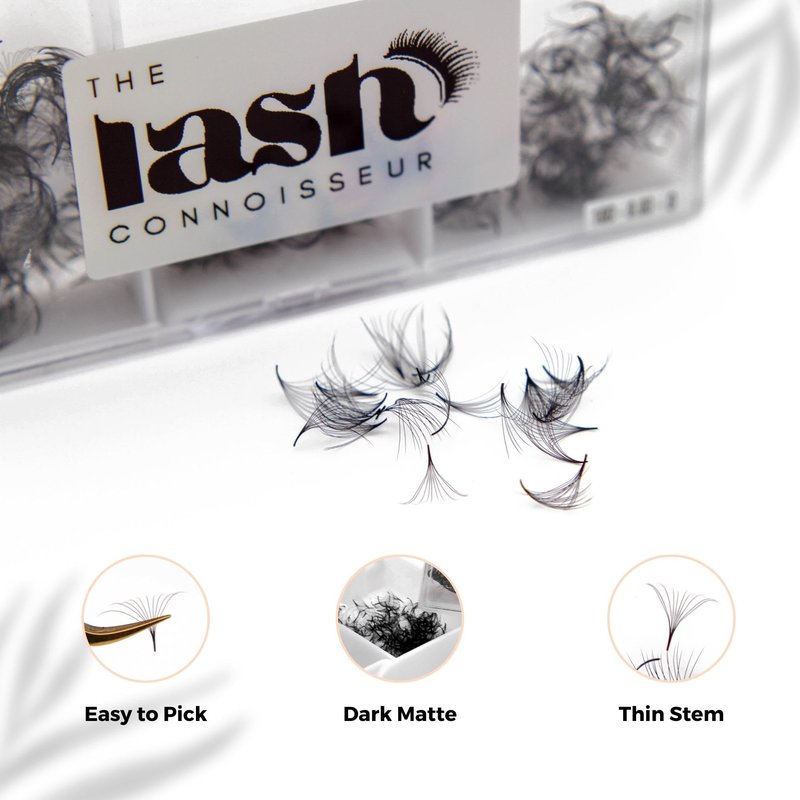 16D - D Curl 750 Fans Mixed Promade Fans Lash Extensions | TLC Lash Supplies 4D to 16D Premade Fans 7 mm to 16 mm Mixed Length Thin Base Premade Fans Eyelash Extensions (16D - D Curl, 9-10-11 mm)