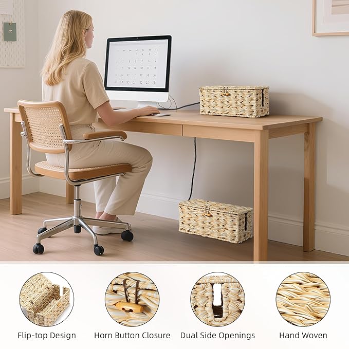 Delamu Handwoven Synthetic Rattan Cable Management Box, Flat Weave Desk Organizer with Wire Management, Multi Purpose Cord Hider Box, 12.5" Lx 5.3" Wx 5.3" H, Natural & White