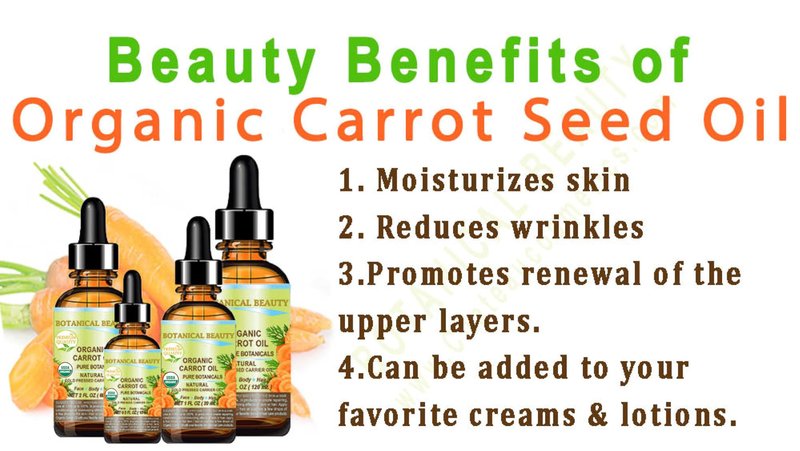 Botanical Beauty Organic CARROT SEED OIL 100% Pure VIRGIN UNREFINED Undiluted Cold Pressed Carrier Oil for Face, Skin, Body, Hair, Lip, Nails. Rich in Beta Carotene, Vitamin E (2 Fl Oz)