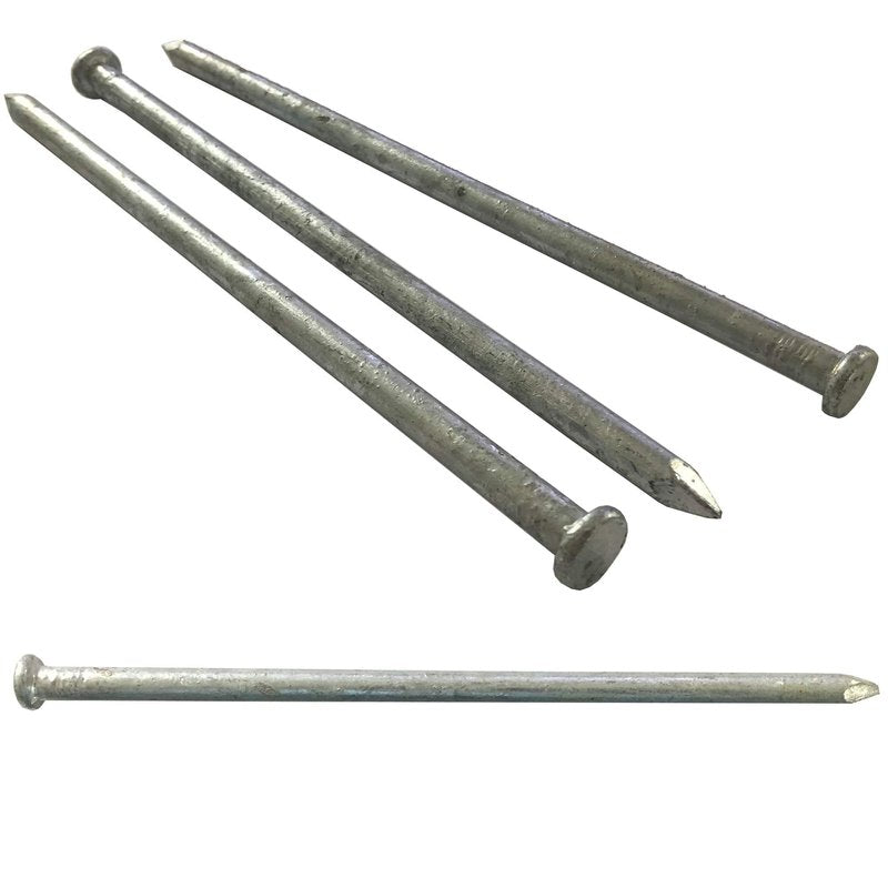 120d - Galvanized Spike nail - Outdoor rust resistant nail, great for landscaping ties (10)