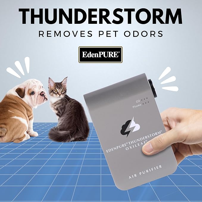 EdenPURE Thunderstorm III Air Purifier - Wall Plug In Air Ionizer Generator, Ozone Odor Eliminator for Home, Pets, Car and Removes Mold - USB Powered, Filter Free Portable Cleaner for Indoor & Travel