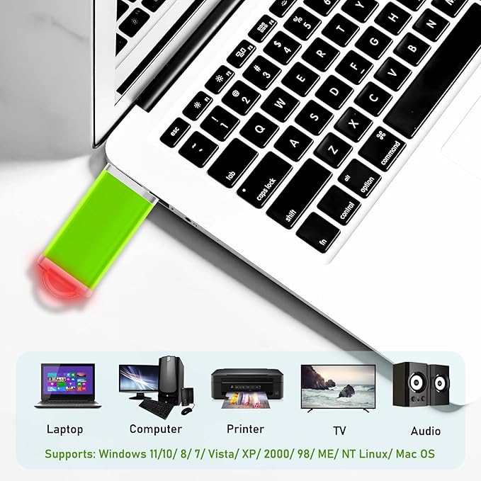 Nicepicten Memorias USB 4GB Flash Drive 50 Pack, USB 2.0 Thumb Drives Bulk Memory Sticks 4GB FAT32 USB Flash Drives Bulk Jump Drives Multipack Pack of 50 with Lanyard(Green 50 Packs 4 GB)