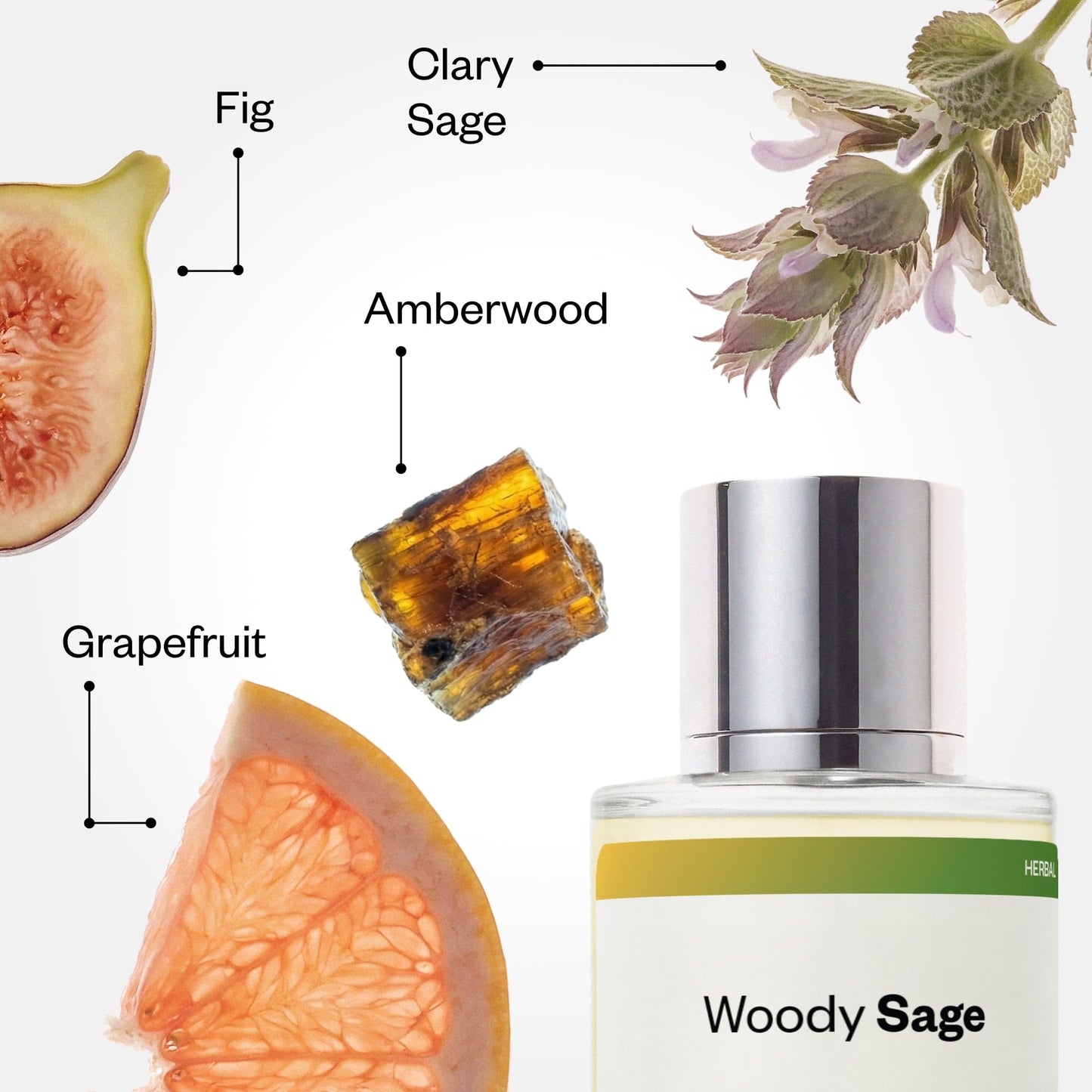 Dossier - Woody Sage - Eau de Parfum - Inspired by Wood Sage & Sea Salt - Long-Lasting Fragrance - Unisex - 1.7 fl oz (50ml)