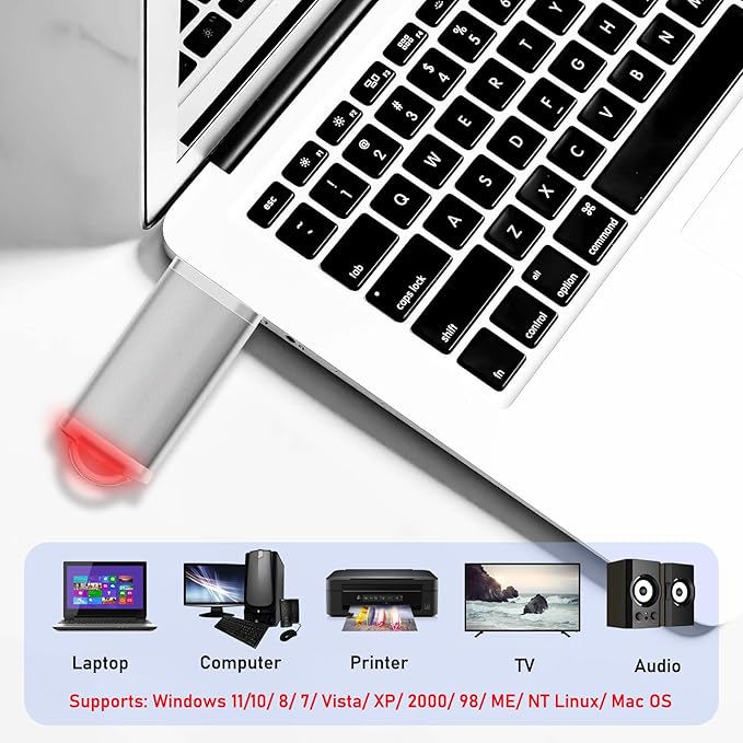 1GB USB Flash Drive 20 Pack Nicepicten Thumb Drives Pack Jump Zip Drive USB 2.0 Flash Drives Mulitipack 1GB Memory Stick with Labels & Lanyards - Silver