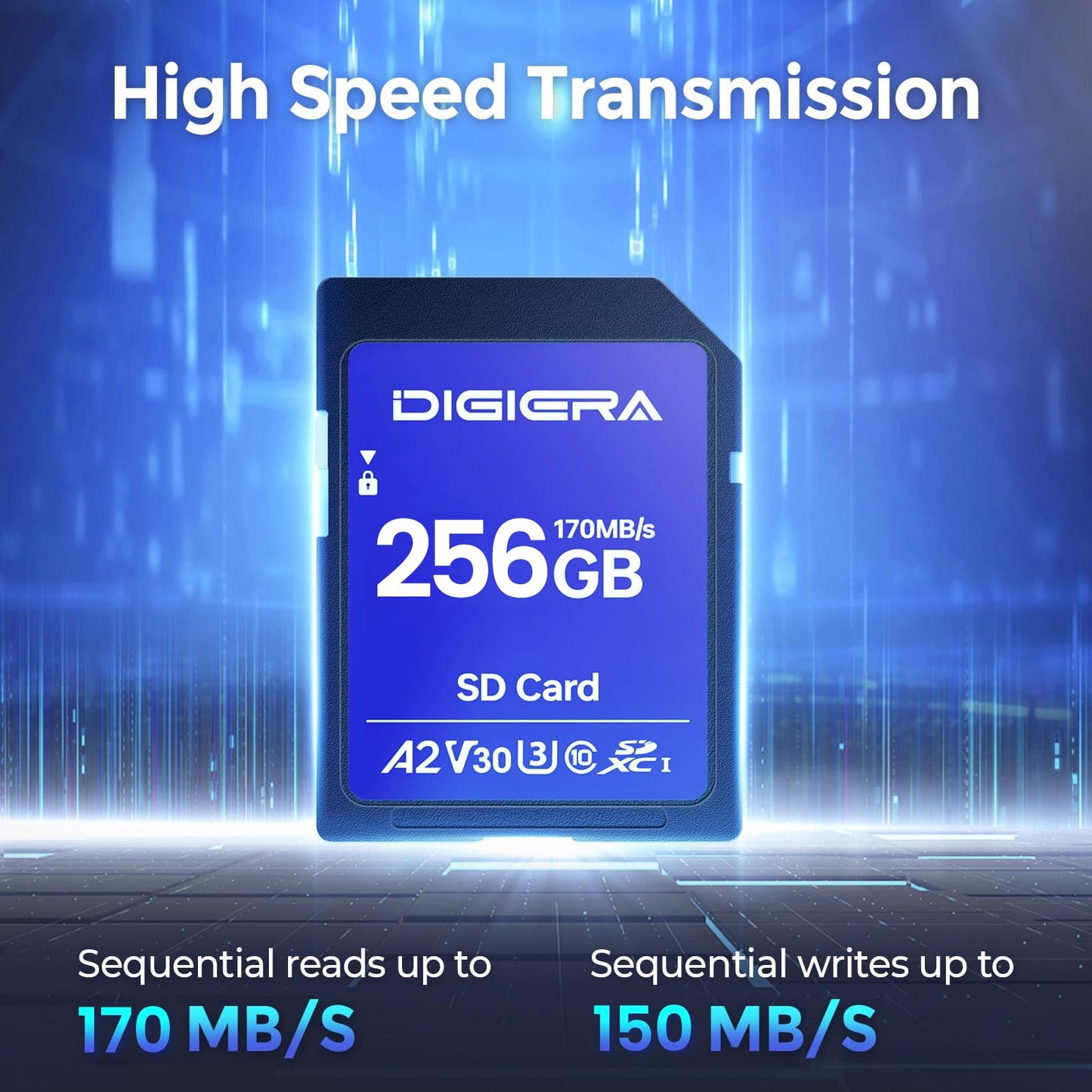 DIGIERA 256GB LS100 SDXC UHS-I Memory Card - up to 170MB/s, C10, U3, V30, 4K UHD, SD Card for Computers, Digital Cameras, Home Theatre Devices, Car Navigation Systems (1 Pack)