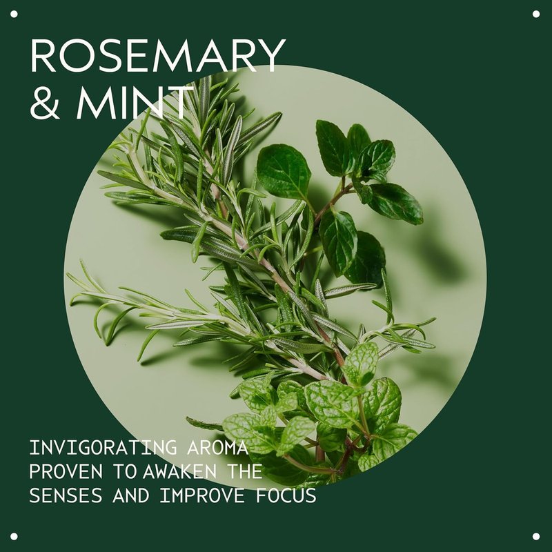 Aveda Rosemary Mint Purifying Shampoo | Clarifying Shampoo | Gently Removes Buildup, Adds Shine | For Normal to Oily Hair, Fine to Medium Hair | Invigorating Aroma| 97% Naturally Derived*, 33.8 Fl Oz