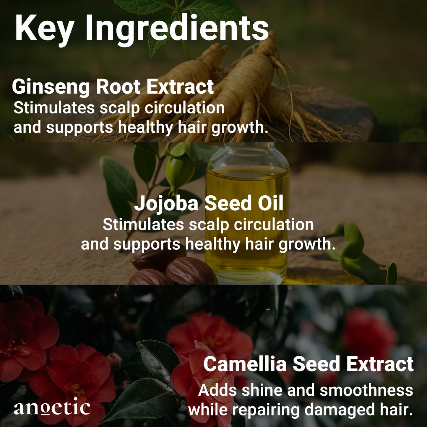 ANOETIC Silk Oil Serum for Frizzy and Damaged Hair | Silk Perfume Hair Serum | Korean Hair Care For Frizz Control and Split End Care