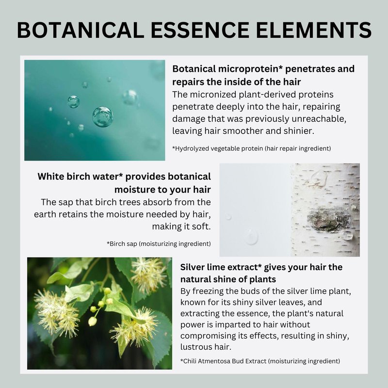 Botanist Japanese Organic & Natural Shampoo for Dry Hair, Hydrating & Moisturizing Hair Shampoo with Pump for Women & Men to Moist Hair, Sulfate & Silicone Free, Apricot & Jasmine 490 mL/16.5 fl Oz