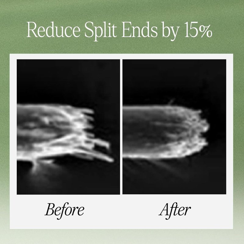 Sandalwood Hair Perfume Treatment - Intensive Anti-Frizz Formula | 6.76 Fl Oz | Softens & Repairs Split Ends