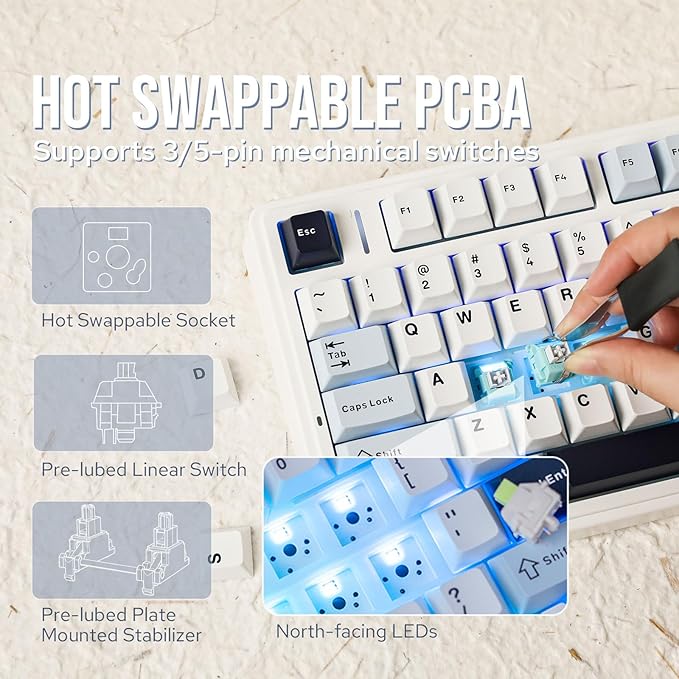 EPOMAKER x Aula F75 Gasket Mechanical Keyboard, 75% Wireless Hot Swappable Gaming Keyboard with Five-Layer Padding&Knob, BT/2.4GHz/USB-C, RGB (Light Blue, Ice Vein Switch)