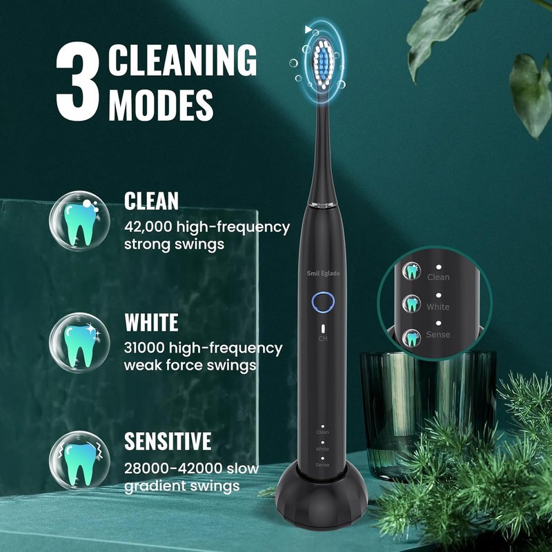 Rechargeable Sonic Electric Toothbrush for Adults - 10 Brush Heads, 3 Modes, 2-Minute Timer | Travel-Friendly Black
