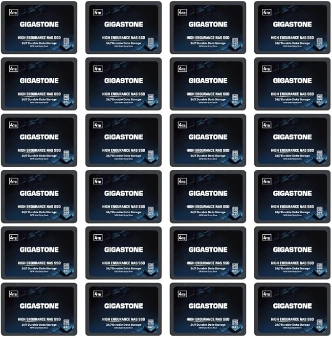 Gigastone 【NAS Certified】 4TB High Endurance SSD (24-Pack) for Gaming/PC/Laptop/NAS SSD 24/7 Reliable 2.5" SATA Internal Solid State Drives RAID Data Storage 2.5 inches SATA 3.0