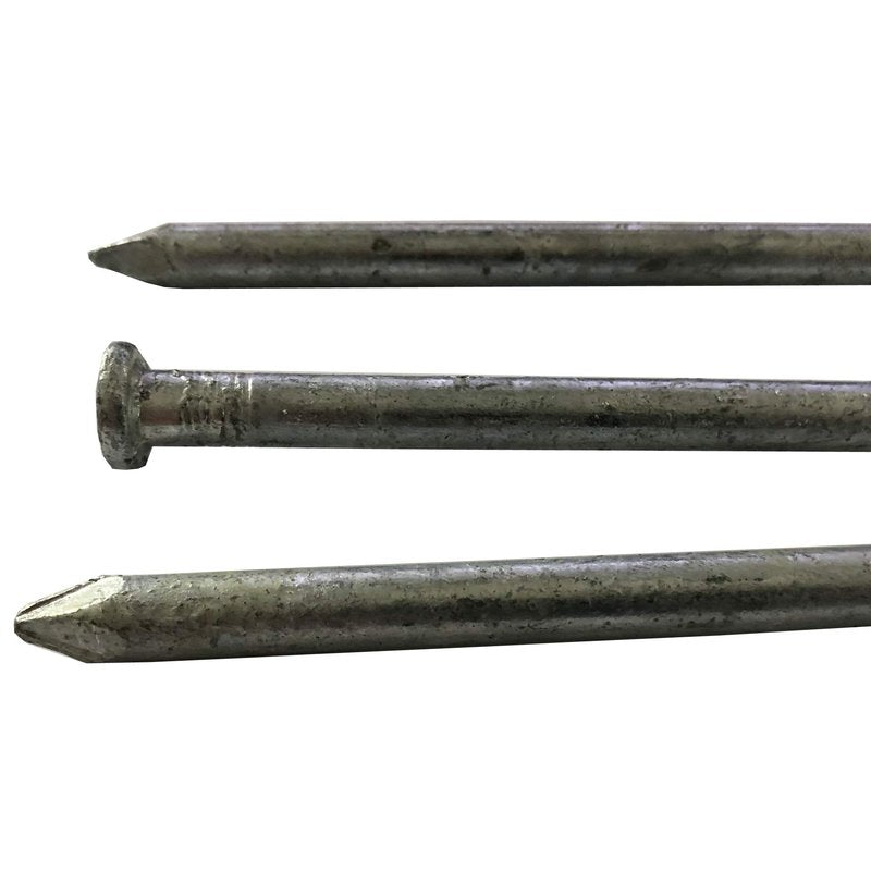 120d - Galvanized Spike nail - Outdoor rust resistant nail, great for landscaping ties (10)