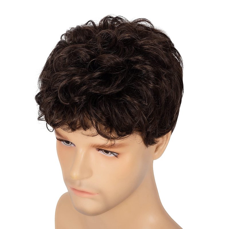 Swiking Men Brown Short Wigs Curly Fluffy Natural Synthetic Hair with Bangs Halloween Daily Full Wig for Male Guy