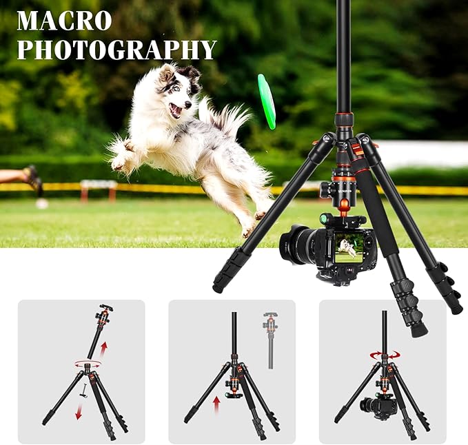Nietoto 2 in 1 Camera Tripod & Hunting Stand Foldable, 68" Ball Head Tripod for Camera and Phone, Heavy Duty Tripod for DSLR Camera Lasers Binoculars Telescope Spotting Scope, Min Size 16.5" with Bag