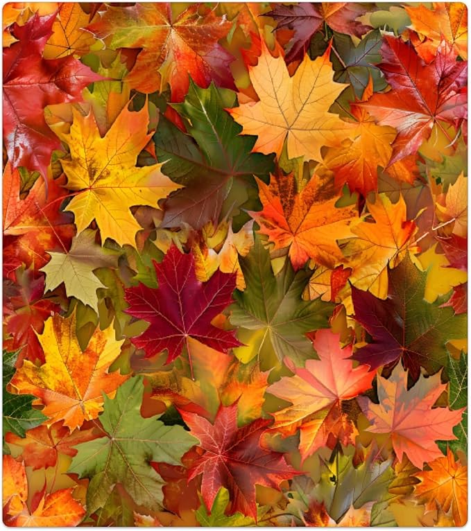 Autumn Color Maple Leaves Dishwasher Magnet Cover for The Front Magnetic Dishwasher Door Covers Dish Washer Sticker Wrap Home Decorative Appliances Panel Decal Kitchen Decor 23" x 26" (Magnetic)