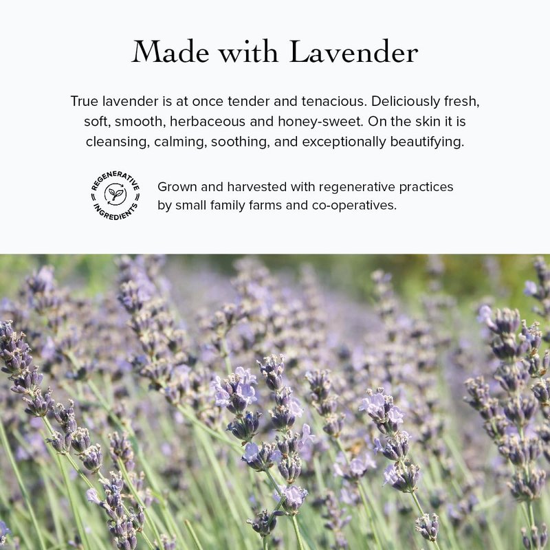 evanhealy Blue Lavender Cleansing Milk | Soothe & Calm Reactive Skin | Moisturizing Gentle Deep Clean For Sensitive Skin