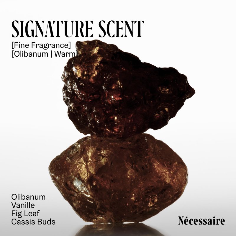 Nécessaire The Body Wash Olibanum - Multi-Oil Shower Gel Body Wash for Women + Men. Non-Comedogenic + Hypoallergenic for Sensitive Skin with Niacinamide. 8.4 Fl Oz.