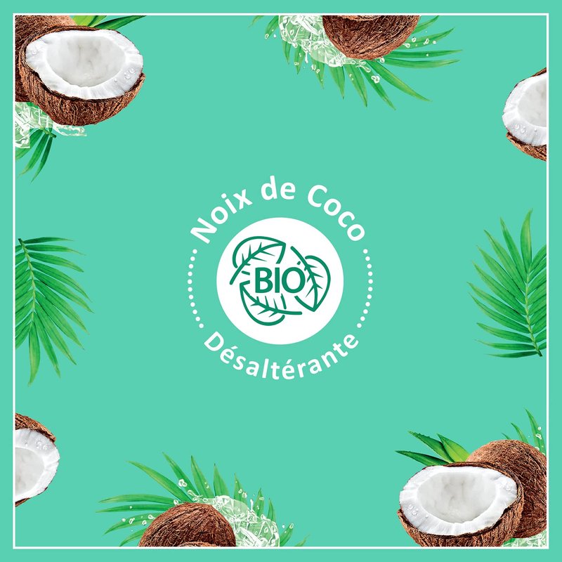 Coconut Body Milk - 48H Moisturizing & Soothing Body Lotion | 250ml