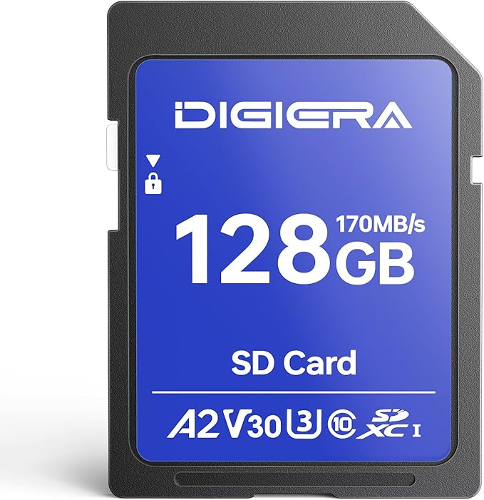 DIGIERA 128GB LS100 SDXC UHS-I Memory Card - up to 170MB/s, C10, U3, V30, 4K UHD, SD Card for Computers, Digital Cameras, Home Theatre Devices, Car Navigation Systems (1 Pack)