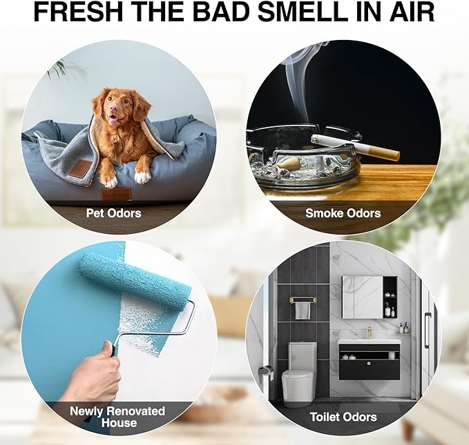 ELIXRION Ozone Generator – 80,000mg/h High-Capacity O3 Air Purifier for Odor Control Home, Kitchen, Car, Office, Basement, Pets, and Smoke – Covers Up to 6,000 Sq Ft