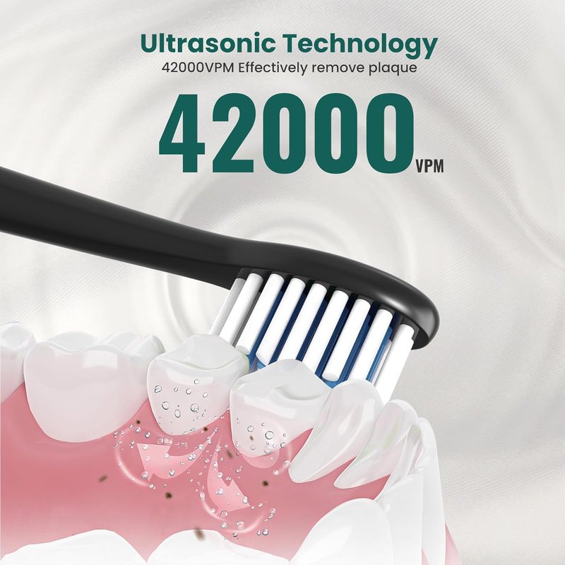 Rechargeable Sonic Electric Toothbrush for Adults - 10 Brush Heads, 3 Modes, 2-Minute Timer | Travel-Friendly Black