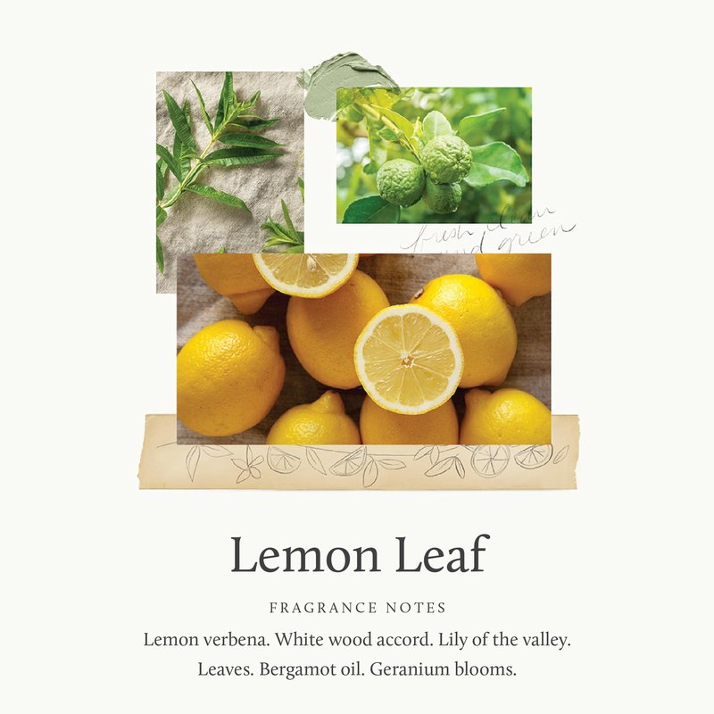Thymes Countertop Spray - Counter Cleaner Spray - Household Cleaning Supplies (Lemon Leaf, 16.5 fl oz)