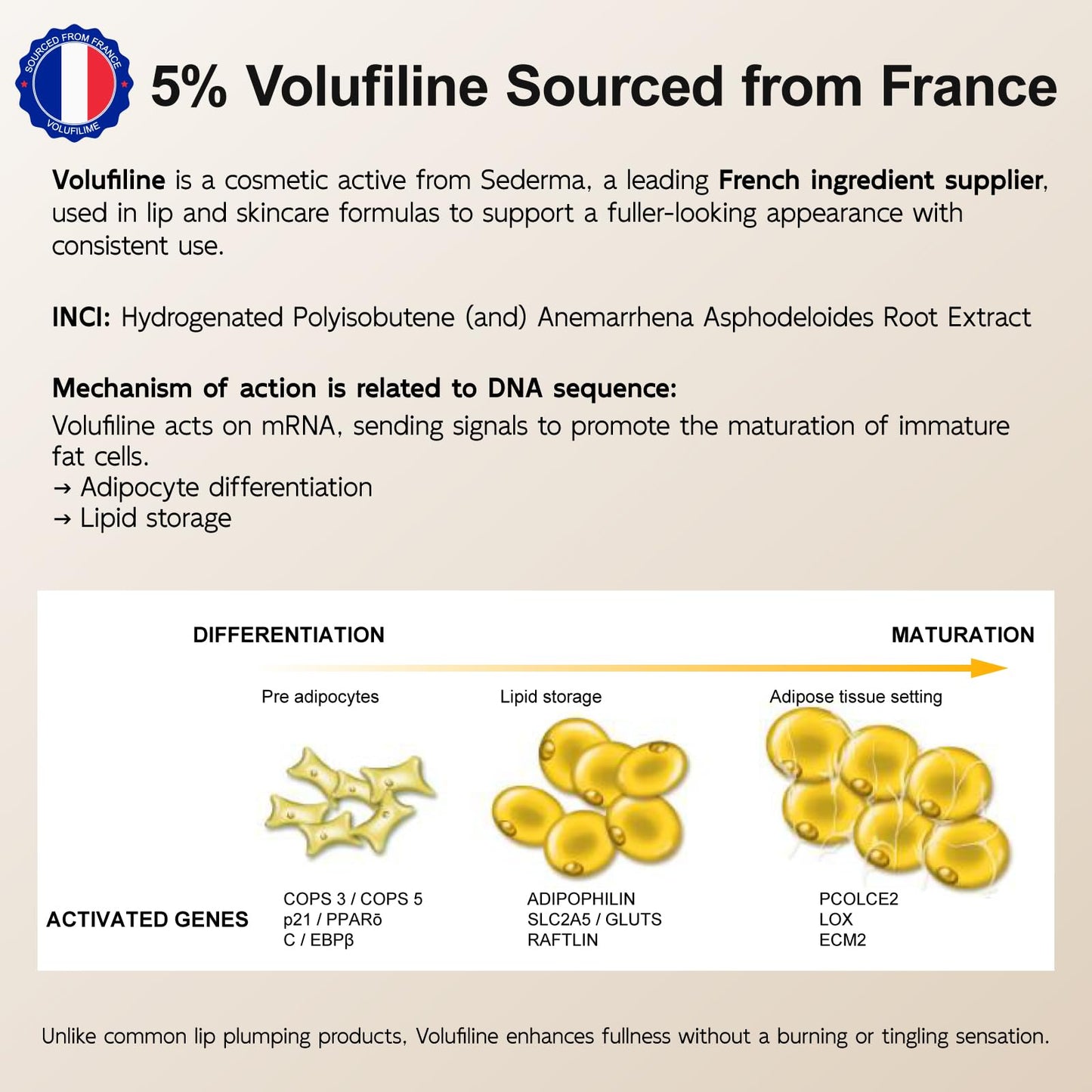YouthVibe 5% Volufiline Lip Serum & Gloss, Hydrating Lip Care with Shea Butter, Collagen, Peptide & PDRN - Fuller-Looking Lips Over Time, No Burning or Tingling, Non-Sticky Essence - Berry Blush