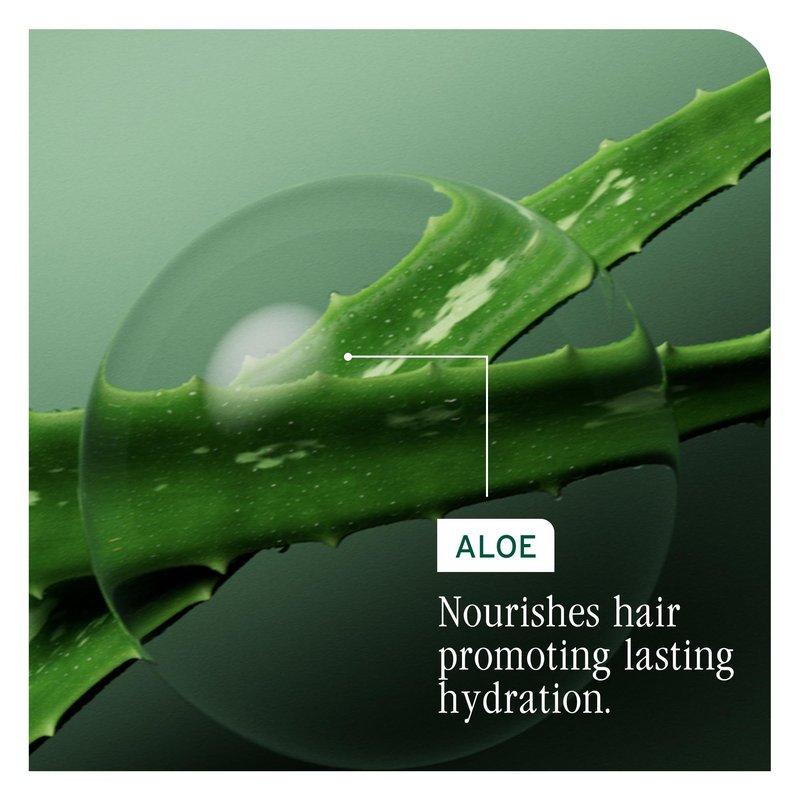 Biolage Hydra Source Detangling Solution - Conditions, Instantly Detangles & Controls Static, For Dry Hair, With Micro-Filtered Aloe Vera & Fermented Hyaluronic Acid, 33.8 Fl Oz, Packaging may vary
