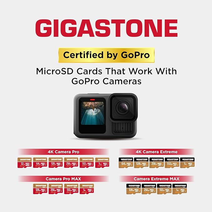 【5-Years Data Recovery】 GIGASTONE 256GB Micro SD Card, 4K Camera Pro, A2 V30 for Smartphone, Gopro, Action Cams, 4K UHD Video, Nintendo-Switch Compatible, Up to 100MB/s, UHS-I U3 C10 with Adapter