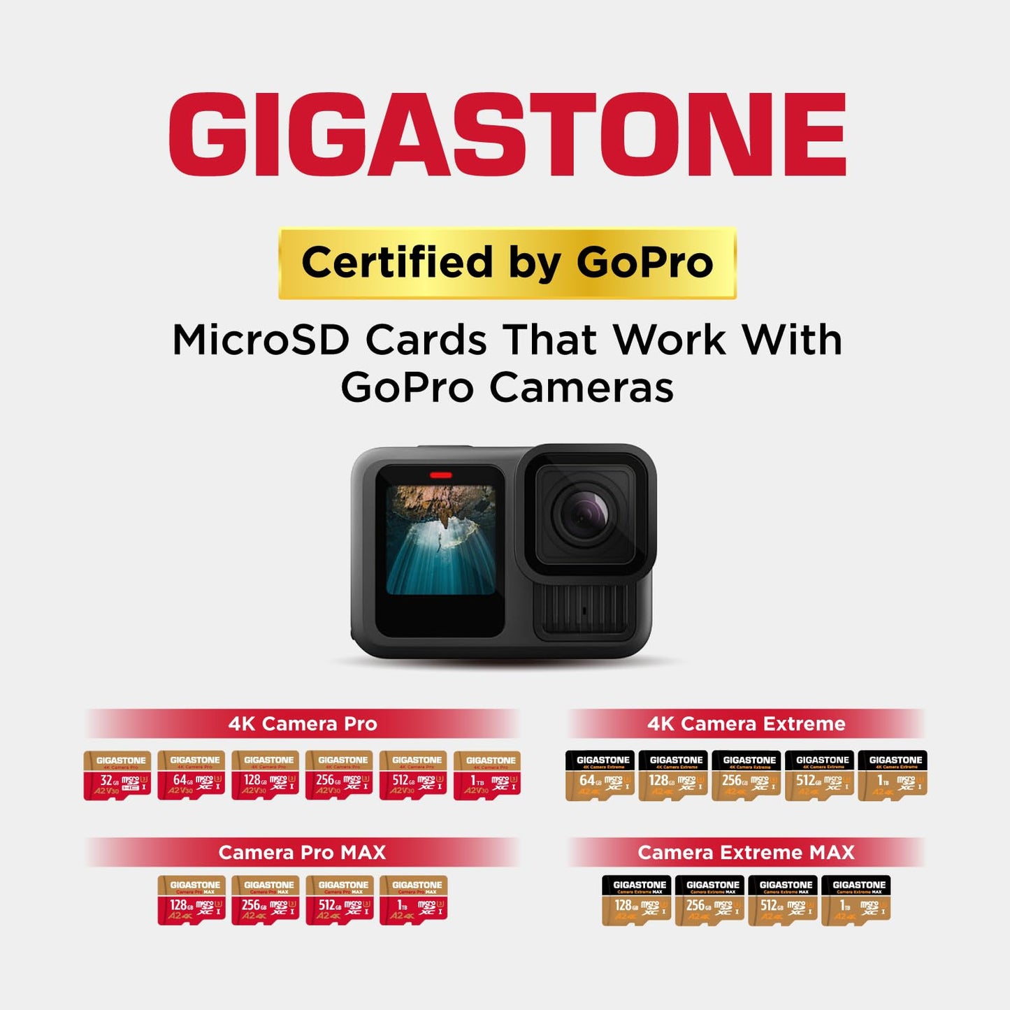 【5-Years Data Recovery】 GIGASTONE 256GB Micro SD Card, 4K Camera Pro, A2 V30 for Smartphone, Gopro, Action Cams, 4K UHD Video, Nintendo-Switch Compatible, Up to 100MB/s, UHS-I U3 C10 with Adapter