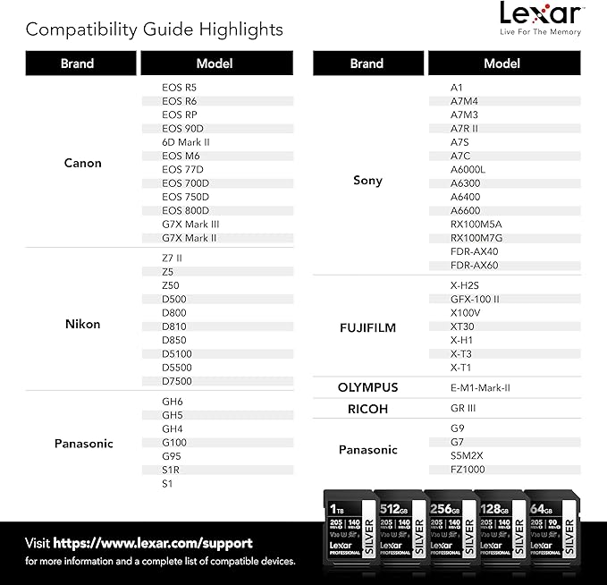 Lexar 128GB Professional Silver SD Card, UHS-I, C10, U3, V30, 4K, Up to 225/160 MB/s SDXC Memory Card, for Professional Photographer, Videographer, Enthusiast (LSDSILV128G-BNNNU)