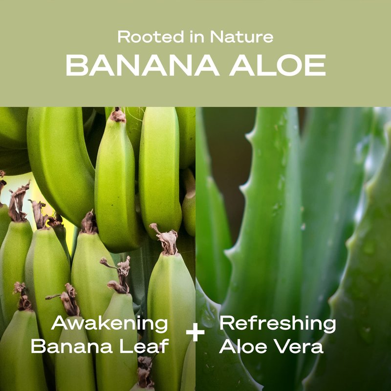 Hey Humans Banana Aloe Moisturizing Body Wash with Natural Ingredients & Jojoba Oil | Clean, Vegan, Sulfate Free Bath & Body Wash for Women & Men | Recyclable Bottle, 14 fl. oz. - Pack of 3