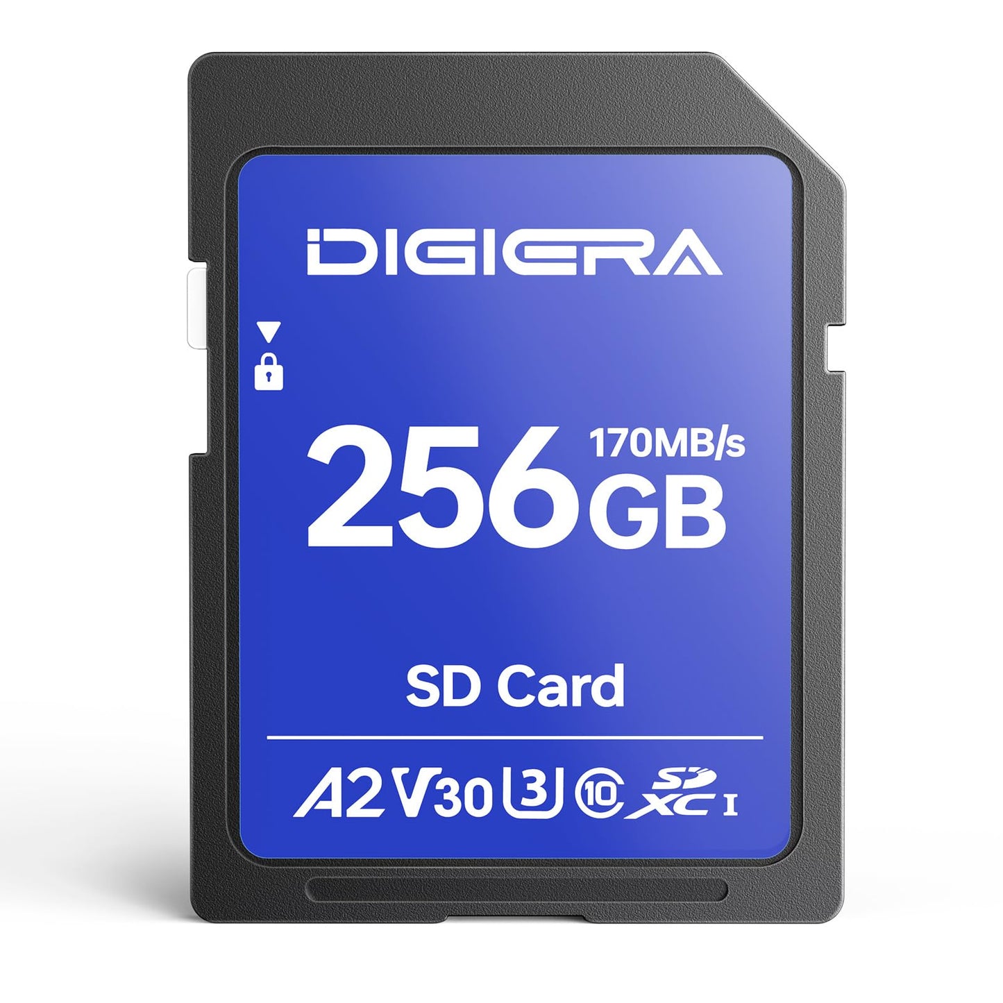 DIGIERA 256GB LS100 SDXC UHS-I Memory Card - up to 170MB/s, C10, U3, V30, 4K UHD, SD Card for Computers, Digital Cameras, Home Theatre Devices, Car Navigation Systems (1 Pack)